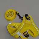 Hipubby Dog Harness and Leash Set, No Pull Soft Mesh Puppy Harness for Small Medium Dogs, Cats - Step in Reflective Breathable Lightweight Vest Harness for Walking, Training - Yellow, XXS (XXS (Chest: 12"-13"))