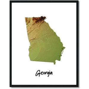 Susie Arts 8X10 Unframed Georgia State Geography Map Art Print Poster Topography Terrain Education Home Abstract Wall Decor SDAP667