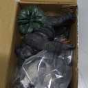 Jexine 25 Pack Rainforest Animals Figures for Kids Tropical Rainforest Diorama Supplies Kit for School Project Assorted Creature Toy Set Miniature Landscape Birthday Party Favors