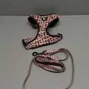 Dog Cat Harness and Leash Set, Puppia Soft Mesh Padded and Adjustable Puppy Vest Cute Dog Clothes Escape Proof Easy Walk Pet Accessories, Medium