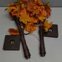 Dazzle Bright 2 Pack 24 Inch Lighted Thanksgiving Fall Maple Tree Decor, 24 LED Battery Operated Decorations Artificial Tree with Timer for Indoor Home Room Holiday Xmas Party