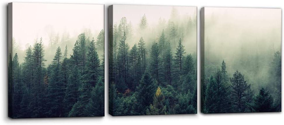 Pacimo Canvas Print Wall Art Set Aerial View of Pine Trees in Mist Nature Wilderness Photography Realism Rustic Scenic Modern Artwork Decor Stretch and Framed Ready to Hang - 12"x16"x3 Panels
