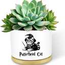 Funny Magical Cat Ceramic Succulent Cactus Flower Plant Pots with Bamboo Tray, 3.5 Inches Window Garden Cute Cat Planter Pot for Home Desk Decor Planter (No Plants)