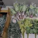 200 Pcs 4 Kinds Mixed Artificial Eucalyptus Greenery Stems Bulk
