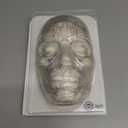 Transparent Injection Face Model with Blood Vessels, Anatomical Injection Mannequin Face, Facial Injection Training Model for Estheticians, Medical Students, Detachble Face Skin