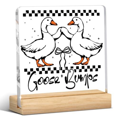 Funny Silly Goose Gifts Humor Gag Gift Sarcastic Goose Acrylic Sign Plaque Art Decor for Office Home Bedroom Dining Room
