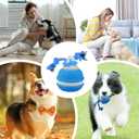 Interactive Dog Toy, Motion-Activated & Automatic Rolling, USB Rechargeable Smart Dog Ball with Teaser Rope & Squeaky Sound for Small & Medium Dogs, Puppy Stimulation Toy Orange & Blue (Orange)