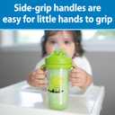Dr. Brown's Milestones Insulated Sippy Cup with Straw and Handles, Spill-Proof Tumbler with Lid, 2-Pack, Green & Purple, 10 oz/300 mL, BPA Free, 12m+