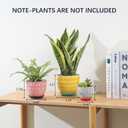 Selamica Ceramic Plant Pots, Indoor Flower Pots for Indoor Plants, 3.5+4.6+5.5 Planters with Drainage Hole & Saucer, Set of 3, Home Decor, Assorted Colors