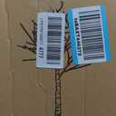 LITBLOOM Lighted Birch Twig Tree with Fairy Lights 4FT 200 LED Lights for Indoor Outdoor Home Christmas Easter Holiday Decoration