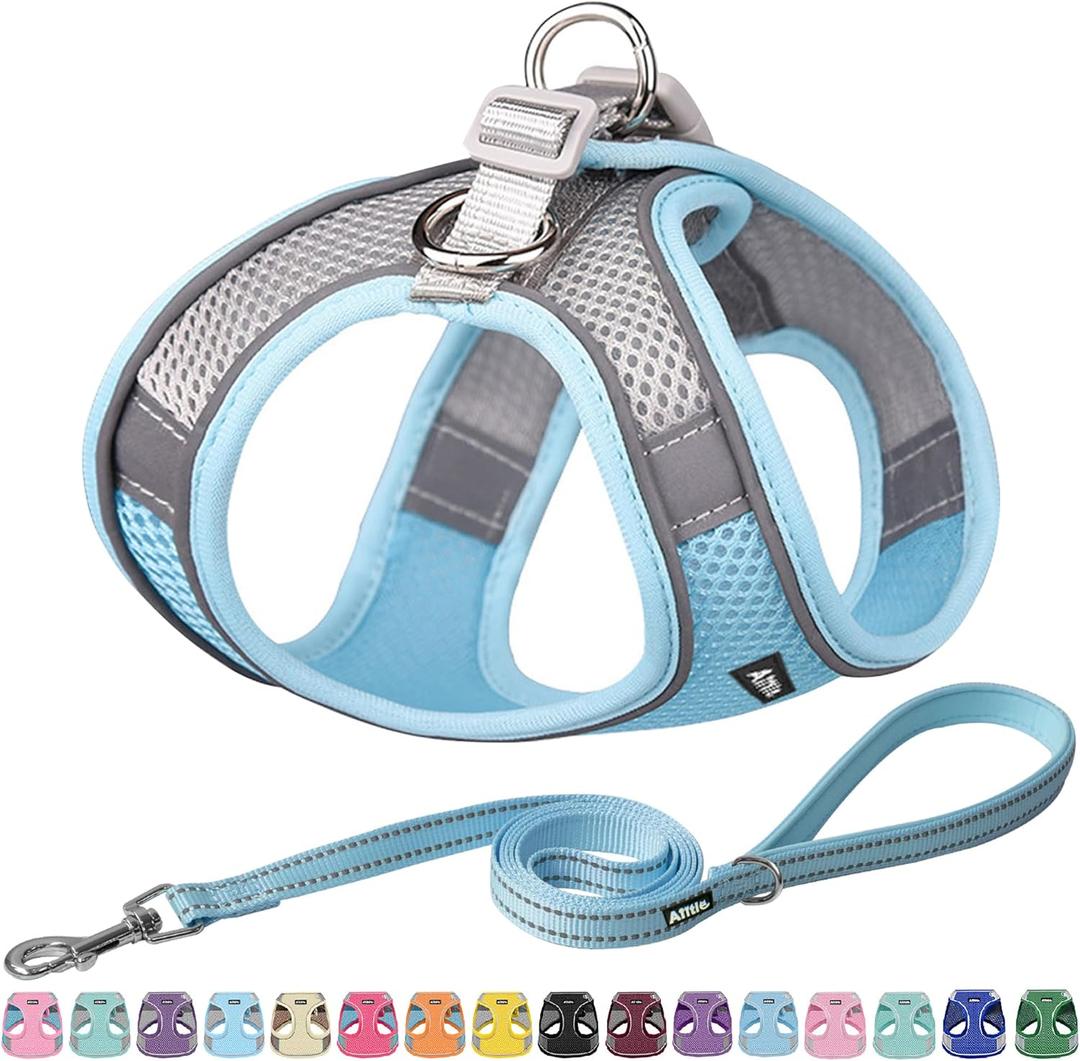 AIITLE Comfortable Dog Harness and Leash Set for Walking - Summer Step in Vest Harness,Reflective Bands, Adjustable No Pull Puppy Essentials, for Small Dogs and House Cats Blue XS (XS(Chest: 11.5 - 13.5"))