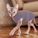 BRKURLEG Hairless Cats T Shirt, Cat Sweaters, Pullover Kitten Shirts, Sleeveless Round Collar Cotton Vest for Cornish Rex Devon Rex Peterbald and Small Dogs Sweater(OrangeBlue Stripes, Large)