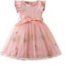 Toddler Girl Summer Dress Tulle Ruffle Sleeveless Baby Girl Fashion Casual Spring Dresses 1-5Y (Pink)