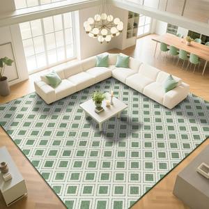 LBRO2M Machine Washable Rug Soft Pet Friendly Carpet 8X10 Green