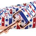 Elegant little tail Dog Leash, Independence Dog Leashes Durable and Strong Pet Leash Holiday Dog Leash with Soft Handle for Small Medium Large Dogs (Small (Pack of 1), American Flag)