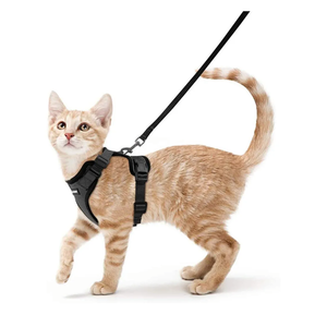 rabbitgoo Cat Harness and Leash for Walking, Escape Proof Soft Adjustable Vest Harnesses for Cats, Easy Control Breathable Reflective Strips Jacket, Black, XS