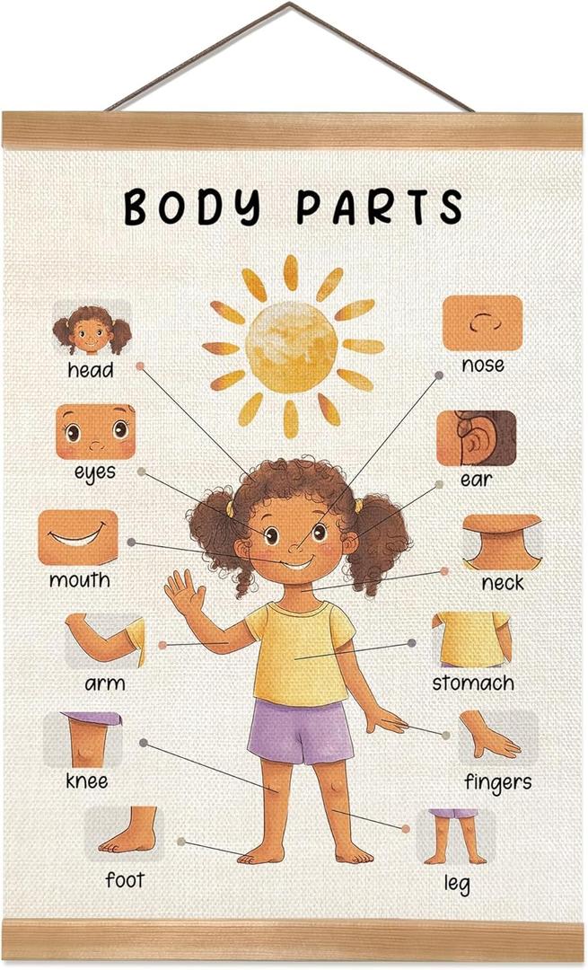 Body Parts Wall Art Poster, Body Educational Learning Posters,Body Parts Learning Wall Chart for Kids Room Decor, Kindergarten Teaching Supplies, Classroom Poster for Bulletin Board Decor 12x16Inch(Girls)