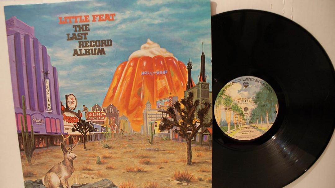 Last Record Album, Vinyl
