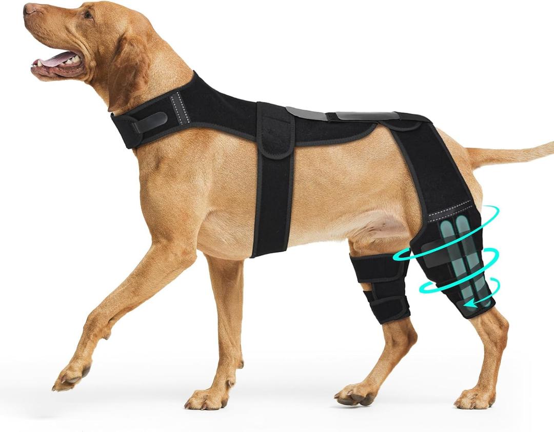 Dog Knee Brace with Vest Adjustable Support for ACL Injuries, Hind Leg Brace for Joint Pain Relief & Recovery 5 