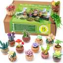 Needle Felting Kit, 15 Pcs Succulent Beginner Needle Felting Kit, Needle Felting Tools, Wool Felting Kit Including Wool Roving, Foam Mat, Felting Needles and Instructions for Diy Felting Starters