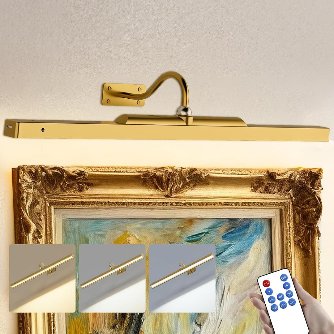 24 Inch Picture Light for Wall - Battery Operated Wireless Wall Sconce with Remote & Timer for Artwork, Portrait, Photo & Frame (Antque Gold)