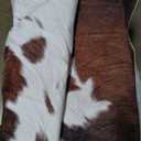 Cowhide Rug Area Rugs for Living Room, 6x9 Cow Print Rug Machine Washable for Bedroom Dining Room Western Home Decor Non-Slip Low Pile Indoor Floor Carpet