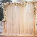 20x10 Champagne Tulle Backdrop Curtains for Parties, Sheer Backdrop Curtain Wedding Photo Backdrop Drapes for Baby Shower Photography Birthday Party