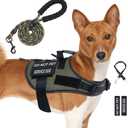 No Pull Dog Harness Small Medium Sized Dog, Service Dog Harness and Leash Set with 4 Patches, Adjustable Easy Walk Dogs Harnesses with Handle, Dogs Vest Harnesses French Bulldog, Chihuahua(Green, M)