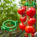 Dalzom 300Pcs Tomato Clips, Plastic Trellis Clips Plant Support Clips, Plant Clips for Support, Grape Vine, Tomato Vine, Vegetables Plants, Garden Clips to Grow Upright Makes Plants Healthier (Green)