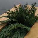 Christmas Cedar Garland Realistic with Lights - Cypress Decorations 9ft for Mantle Lighted Faux Pine Garlands for Xmas Home Decoration Indoor Stairs Railing Fireplace 9 Ft Outdoor Prelit Door Decor