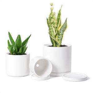 D'vine Dev White Terracotta Pots for Plants, 4.2 Inch 5.3 Inch 6.5 Inch, Succulent Planter Pot with Drainage and Saucer, 40-T-A-1, 3 Pots