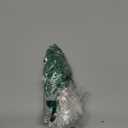 wet n wild Bare Focus Skin Tint, 5% Niacinamide Enriched, Buildable Sheer Lightweight Coverage, Natural Radiant Finish, Hyaluronic & Vitamin Hydration Boost, Cruelty-Free & Vegan-Light Medium Sand (1 Count (Pack of 1))