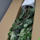 Artificial Ficus Tree Indoor, 6FT Realistic Large Fake Trees