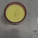 Paddywax Candles Al Fresco Collection Naturally Scented Candle in Reusable Glass Tumbler, 7 Ounces, Rosewood Vanilla