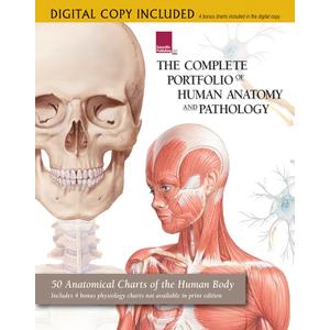 The Complete Portfolio of Human Anatomy and Pathology: Digital Copy