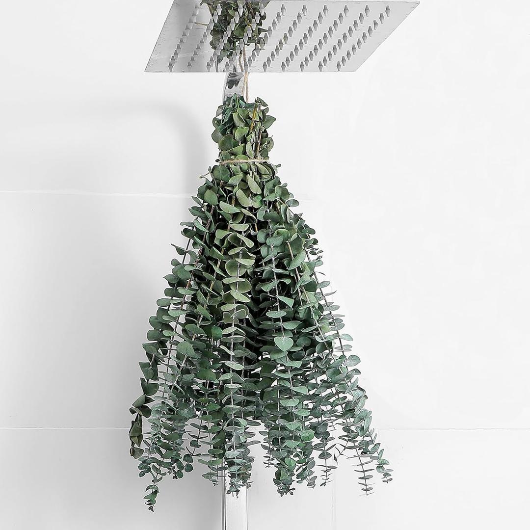 10 Pcs Dried Eucalyptus Stems 17" Real Eucalyptus for Shower Hanging 100% Made from Fresh Leaves, Wedding, Home, Farmhouse, DIY Spring Decor Bathroom Decor Home Decor