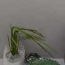 Der Rose 28'' Artificial Palm Tree Tall Fake Tropical Faux Trees Indoor and Outdoor for Home Bathroom Porch Outside Patio Decor (White Pot)