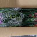 Artificial Flowers Fake Plants for Outdoors Spring Decoration, 13Bundles Silk Realistic UV Resistant Faux Flowers for Outside Planter Porch Yard Patio Garden Home Indoor, Mix