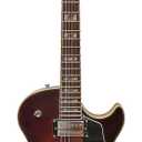IYV-IJZ-300A TSB Jazz Solid hollow-Body Electric Guitar, Tobacco Sunburst
