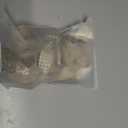 Bunny Rabbit Keychain