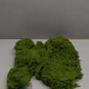 Green Fake Moss,Plastic Artificial Moss,Realistic Looking Faux,Preserved for Plants,Decor,for Fairy Garden Filler Table Wedding Christmas Crafts Party Artificial Plants (50g)