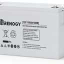 Renogy Deep Cycle AGM 12 Volt 100Ah Battery, 3% Self-Discharge Rate, 1100A Max Discharge Current, Safe Charge Appliances for RV, Camping, Cabin, Marine and Off-Grid System, Maintenance-Free