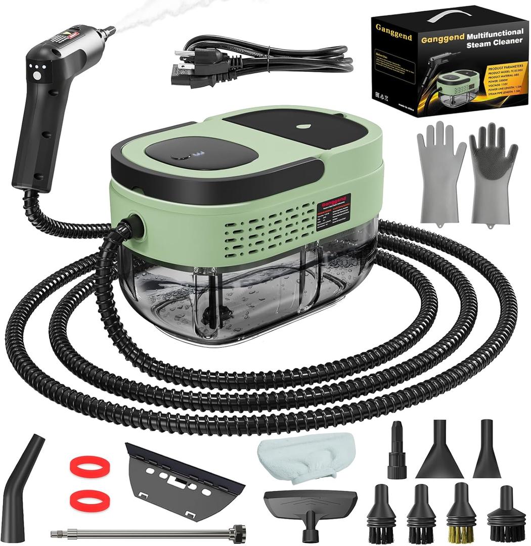 Handheld Steam Cleaner for Home, 2500W High Temperature Pressurized Machine, 1.6L Water Tank, Handle-controlled Steam Output, Portable Cleaning Steamer for Car, Bed Bugs, Furniture (Green, 16 PCS)
