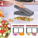 Vegetable Chopper, Onion Chopper Dicer, Mandoline Slicer, Food Chopper with Container, Vegetable Cutter for Salad Potato Carrot Garlic9 Blades, Grey (Gray)