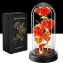 WINTERCRUSH Premium Light-Up Glass Rose - Perfect Birthday,Mother's Day,Valentine's for Women,Mom,Wife,Grandma,or Girlfriend - Colorful Rainbow Rose,Ideal for Home Decor (Red)