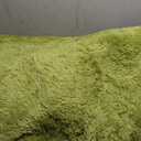Merelax Modern Soft Fluffy Shaggy Rug for Bedroom Livingroom Small Chair Decor Rugs Feet Floor mats , Non-Slip Plush Furry Fur Area Rugs Comfy Nursery Accent Floor Carpet 2 X 3 Feet, Green