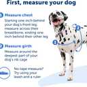 PetSafe Easy Walk Harness for Dogs - Pull-Free Walks - Patented Martingale Loop Design - Front Chest Leash Attachment - Comfort Straps - Breathable Harness Design - Medium/Large, Fawn