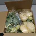 MARTINE MALL 4 Packs Peonies Artificial Flowers, Champagne Artificial Peonies, Silk Peonies Flowers Fake Peonies Artificial Flowers Peonies Bouquet for Centerpiece Table Wedding Party Home Decor