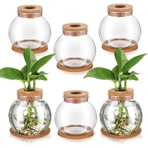 Baderke 6 Packs Propagation Vases for Plants Plastic Plant Propagation Station with Hole Lid and Cork Coasters Plant Growing in Water Hydroponic Home Office Table Decoration(Fish Bowl Style)
