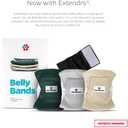Pet Parents® Washable Belly Bands for Male Dogs (3pack) + Extendrs® of Durable Dog Diapers Male, Premium Male Dog Diapers & Dog Wraps (X-Large, Spruce)